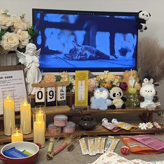 宠物家长客户见证