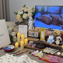 宠物家长客户见证