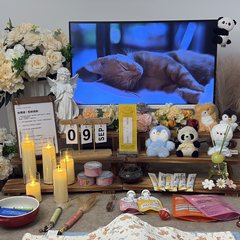 宠物家长客户见证