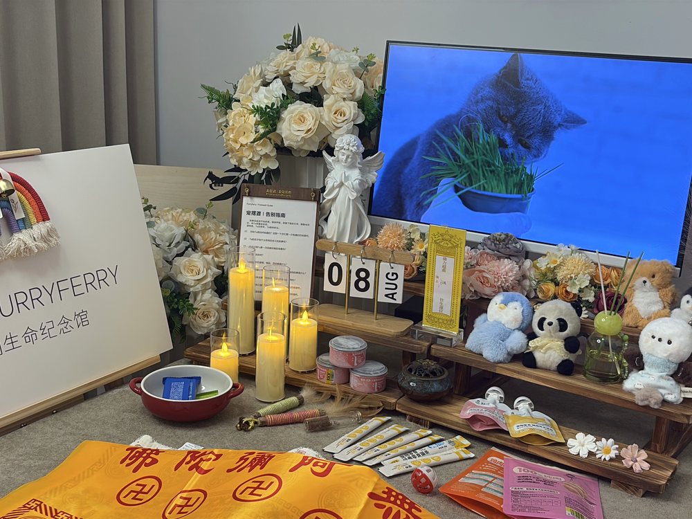宠物告别仪式现场布置